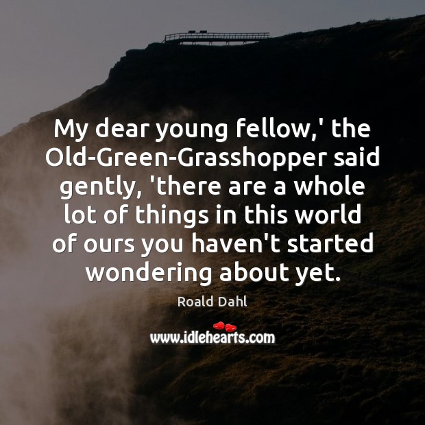 My dear young fellow,’ the Old-Green-Grasshopper said gently, ‘there are a Roald Dahl Picture Quote