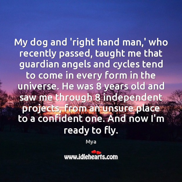 My dog and ‘right hand man,’ who recently passed, taught me Mya Picture Quote