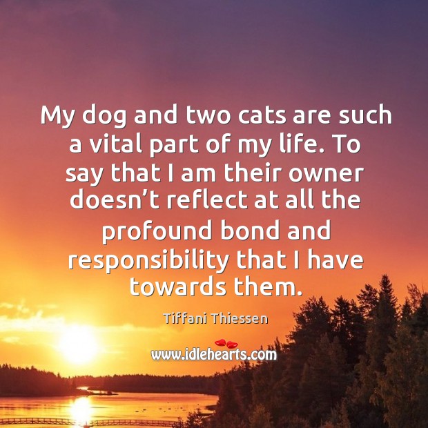 My dog and two cats are such a vital part of my life. To say that I am their owner Tiffani Thiessen Picture Quote