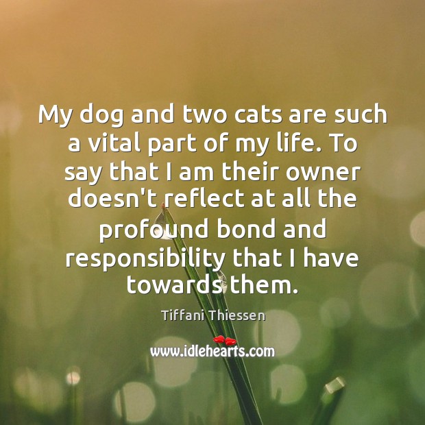 My dog and two cats are such a vital part of my Tiffani Thiessen Picture Quote