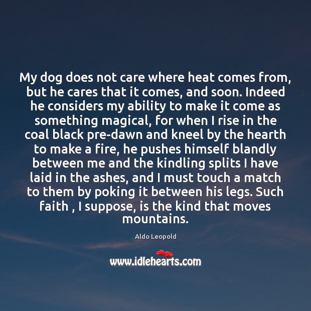 My dog does not care where heat comes from, but he cares Aldo Leopold Picture Quote