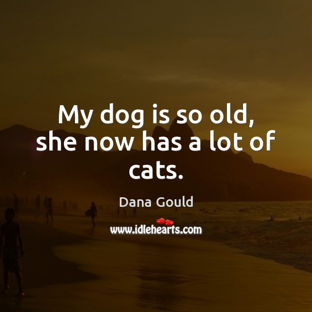 My dog is so old, she now has a lot of cats. Dana Gould Picture Quote
