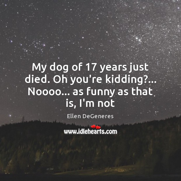 My dog of 17 years just died. Oh you’re kidding?… Noooo… as funny as that is, I’m not Ellen DeGeneres Picture Quote