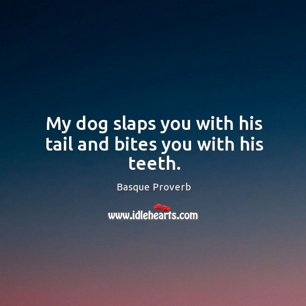 My dog slaps you with his tail and bites you with his teeth. Basque Proverbs Image