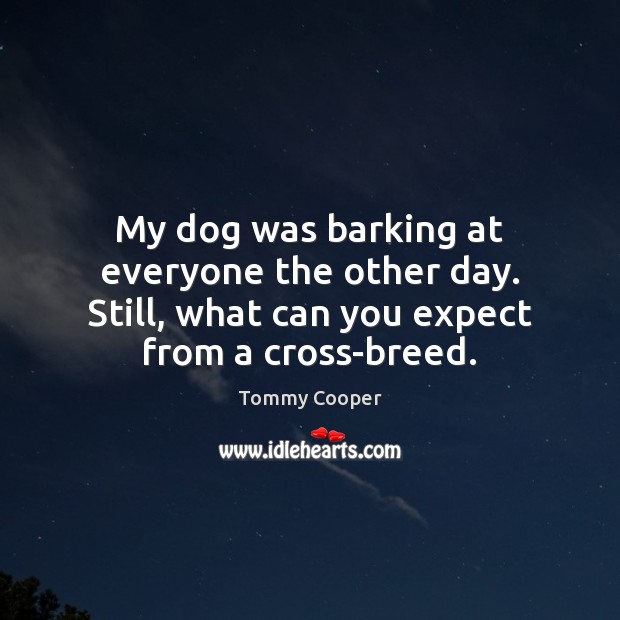 My dog was barking at everyone the other day. Still, what can Tommy Cooper Picture Quote