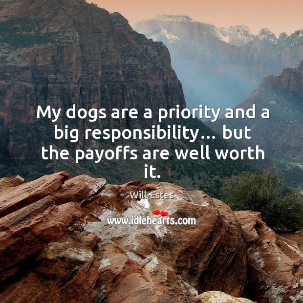My dogs are a priority and a big responsibility… but the payoffs are well worth it. Will Estes Picture Quote