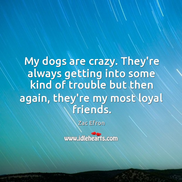 My dogs are crazy. They’re always getting into some kind of trouble Zac Efron Picture Quote