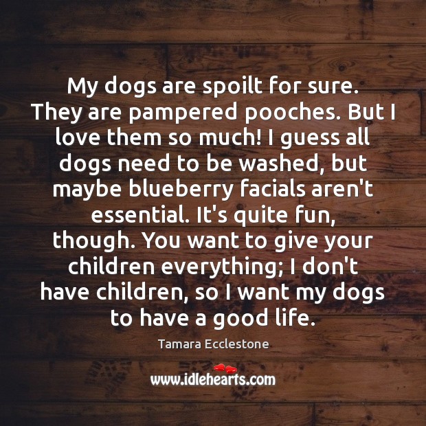 My dogs are spoilt for sure. They are pampered pooches. But I Tamara Ecclestone Picture Quote