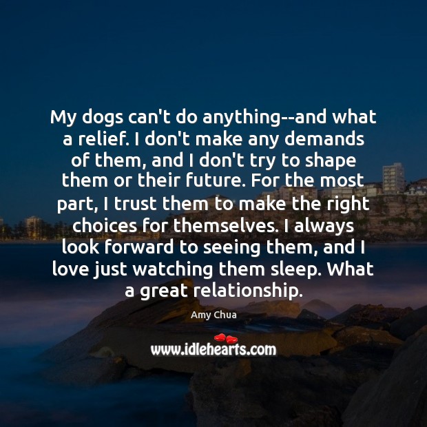 My dogs can’t do anything–and what a relief. I don’t make any Amy Chua Picture Quote