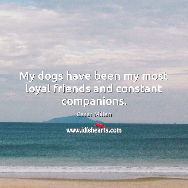My dogs have been my most loyal friends and constant companions. Cesar Millan Picture Quote