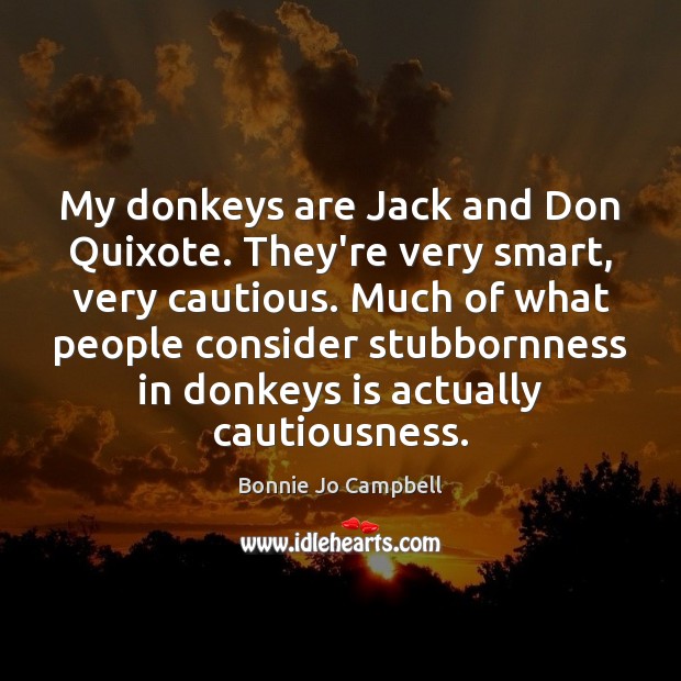My donkeys are Jack and Don Quixote. They’re very smart, very cautious. Bonnie Jo Campbell Picture Quote