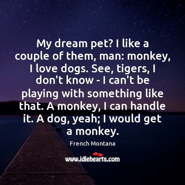 My dream pet? I like a couple of them, man: monkey, I 