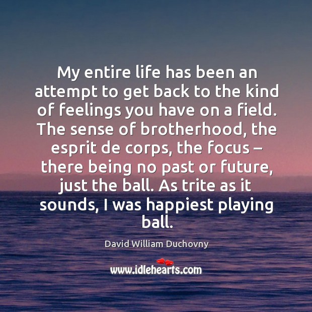 My entire life has been an attempt to get back to the kind of feelings you have on a field. David William Duchovny Picture Quote