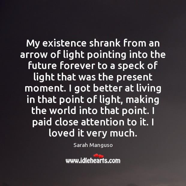 My existence shrank from an arrow of light pointing into the future Sarah Manguso Picture Quote
