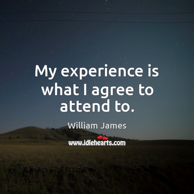 My experience is what I agree to attend to. William James Picture Quote