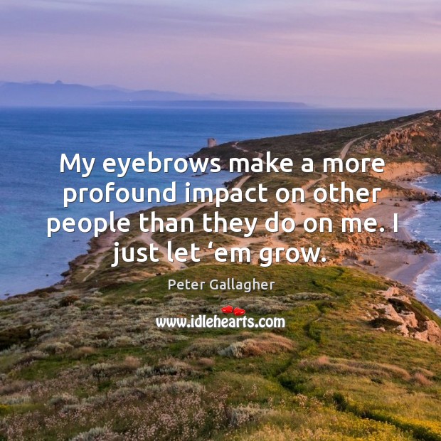My eyebrows make a more profound impact on other people than they do on me. I just let ‘em grow. Peter Gallagher Picture Quote