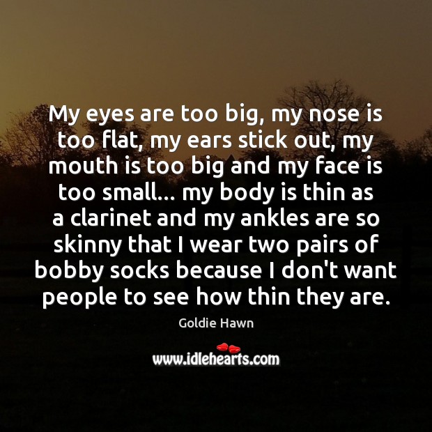 My eyes are too big, my nose is too flat, my ears Image