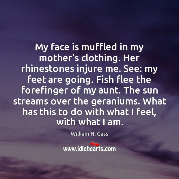 My face is muffled in my mother’s clothing. Her rhinestones injure me. William H. Gass Picture Quote