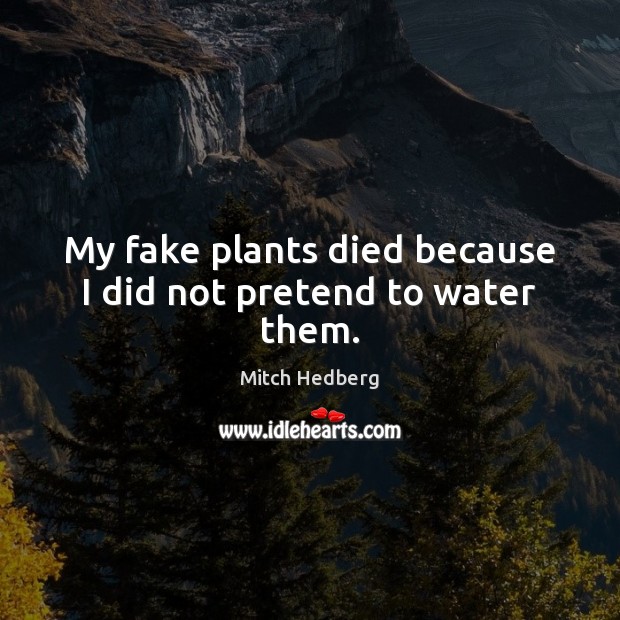 My fake plants died because I did not pretend to water them. Mitch Hedberg Picture Quote
