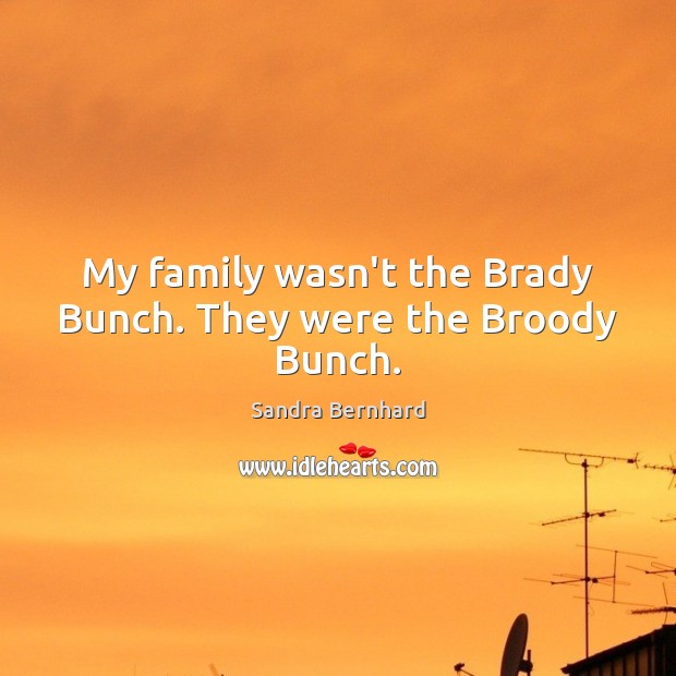 My family wasn’t the Brady Bunch. They were the Broody Bunch. Sandra Bernhard Picture Quote