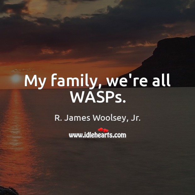 My family, we’re all WASPs. Image