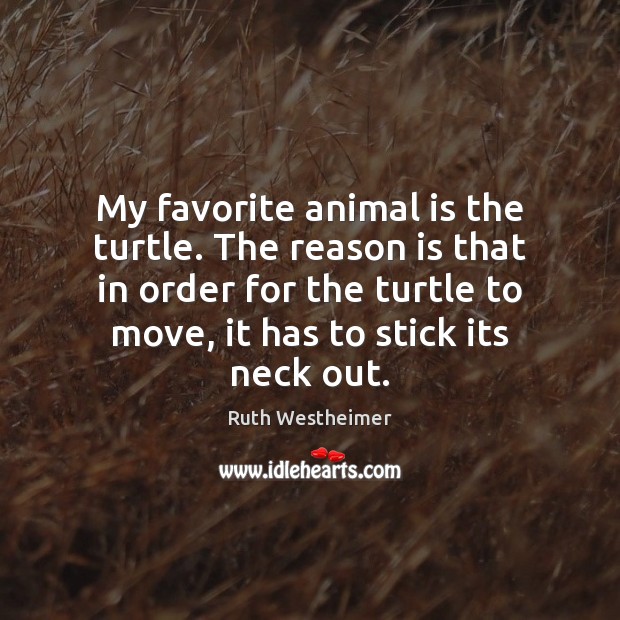 My favorite animal is the turtle. The reason is that in order Image
