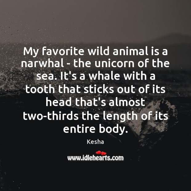 My favorite wild animal is a narwhal – the unicorn of the Kesha Picture Quote