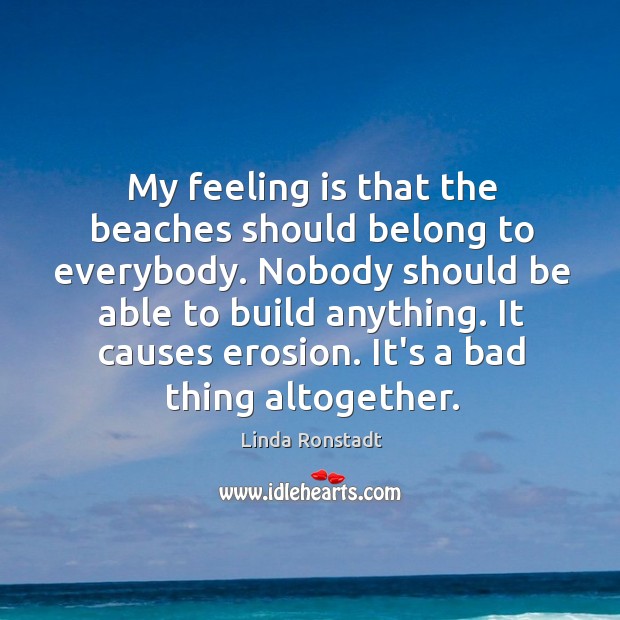 My feeling is that the beaches should belong to everybody. Nobody should Image