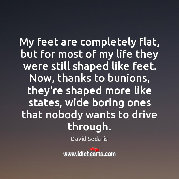 My feet are completely flat, but for most of my life they David Sedaris Picture Quote