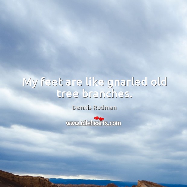 My feet are like gnarled old tree branches. Dennis Rodman Picture Quote