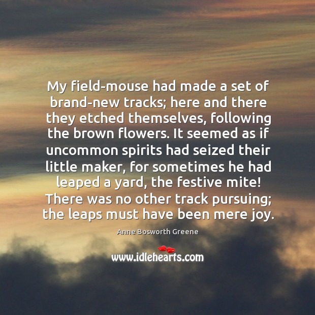 My field-mouse had made a set of brand-new tracks; here and there Anne Bosworth Greene Picture Quote