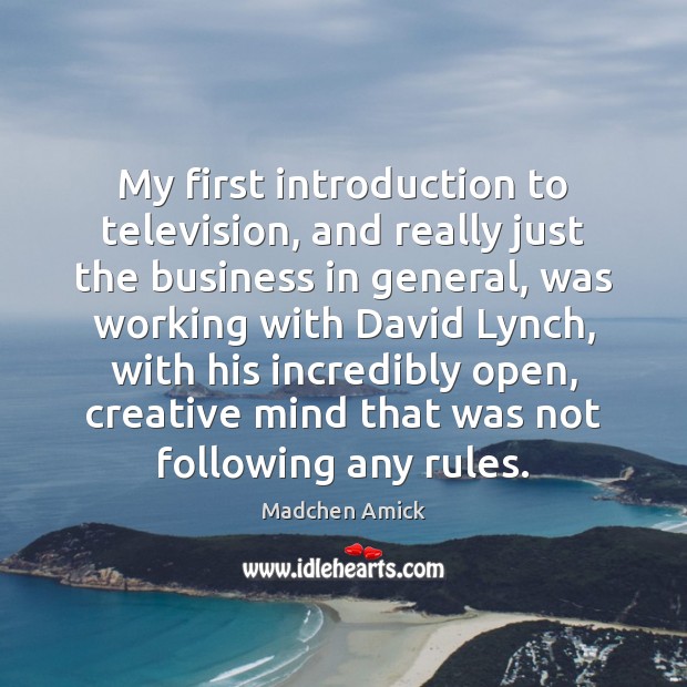 My first introduction to television, and really just the business in general, Madchen Amick Picture Quote