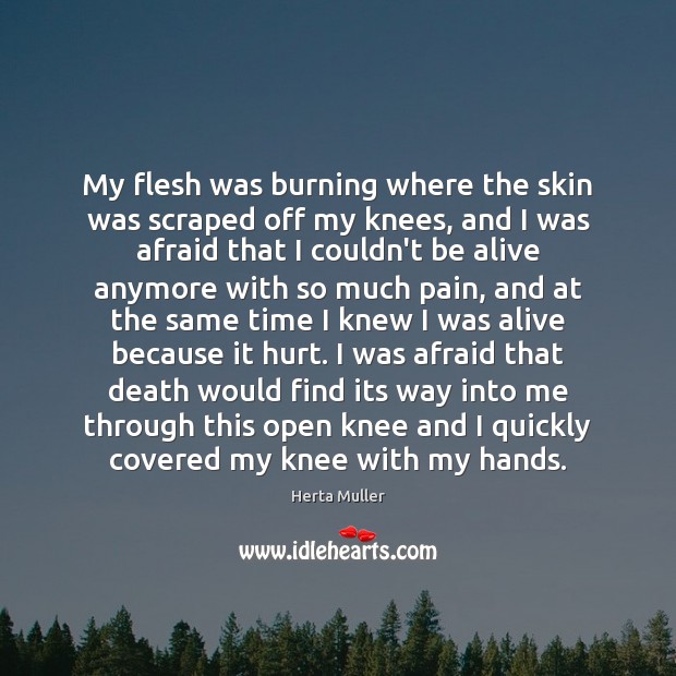 My flesh was burning where the skin was scraped off my knees, Herta Muller Picture Quote