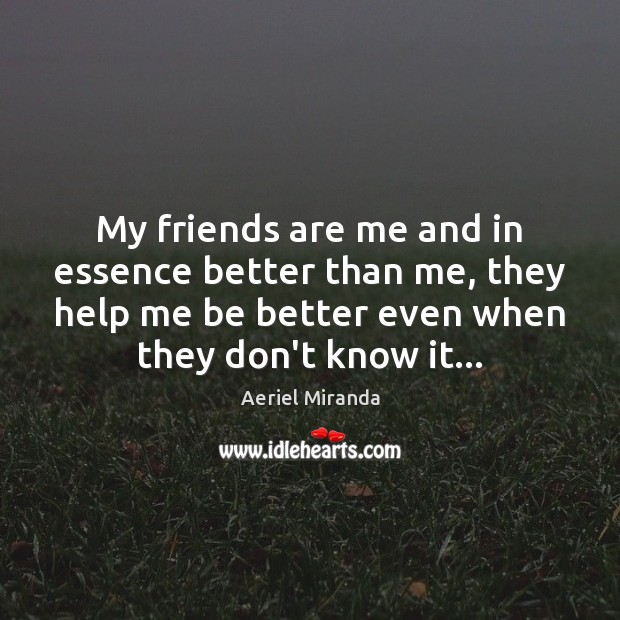 My friends are me and in essence better than me, they help Aeriel Miranda Picture Quote