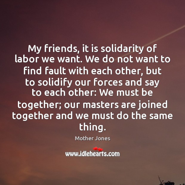 My friends, it is solidarity of labor we want. We do not Mother Jones Picture Quote