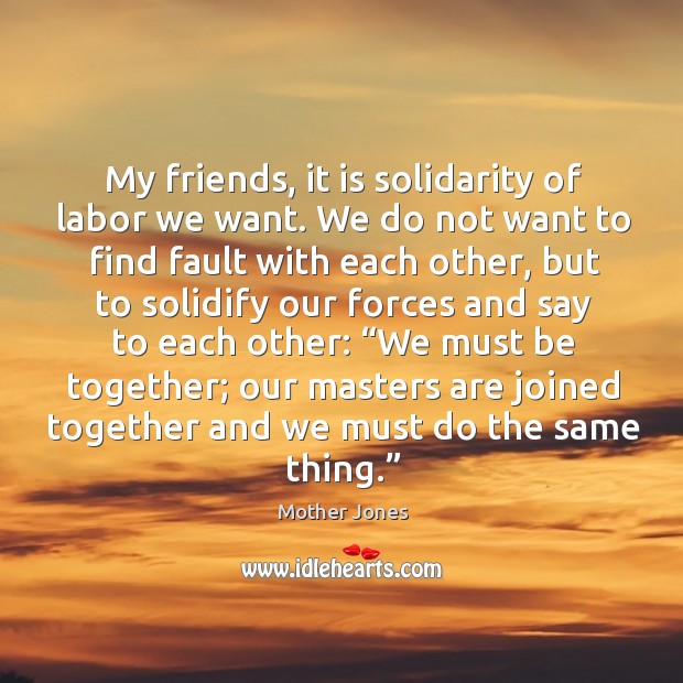 My friends, it is solidarity of labor we want. We do not want to find fault with each other Mother Jones Picture Quote