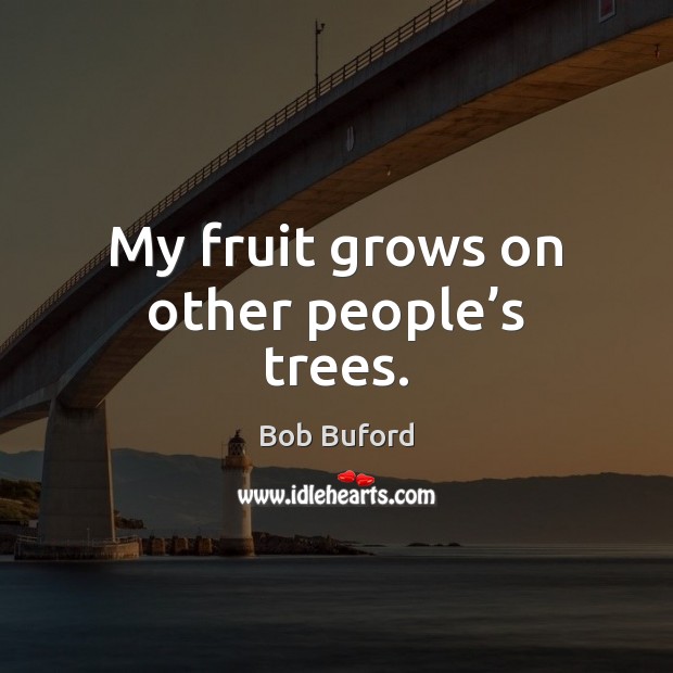 My fruit grows on other people’s trees. Image