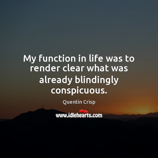 My function in life was to render clear what was already blindingly conspicuous. 