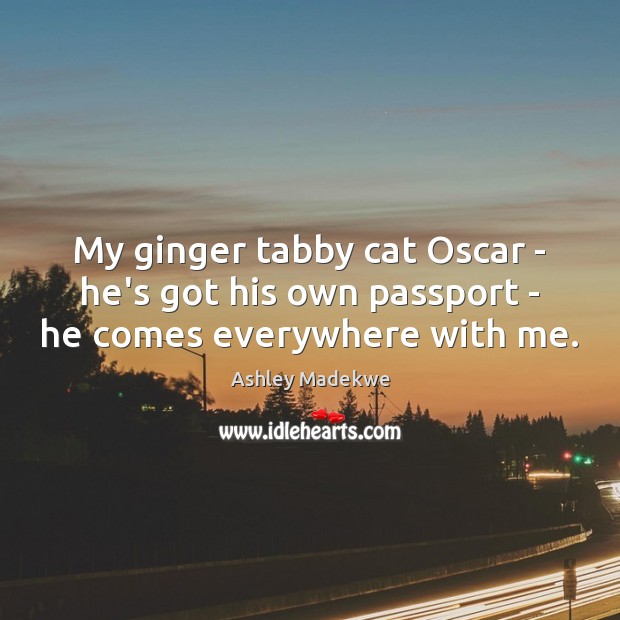My ginger tabby cat Oscar – he’s got his own passport – he comes everywhere with me. Ashley Madekwe Picture Quote