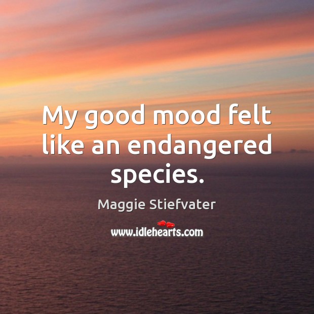 My good mood felt like an endangered species. Maggie Stiefvater Picture Quote