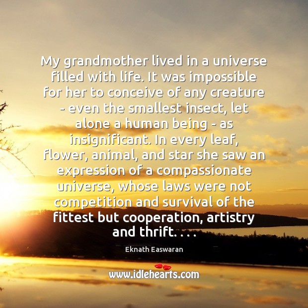My grandmother lived in a universe filled with life. It was impossible Image