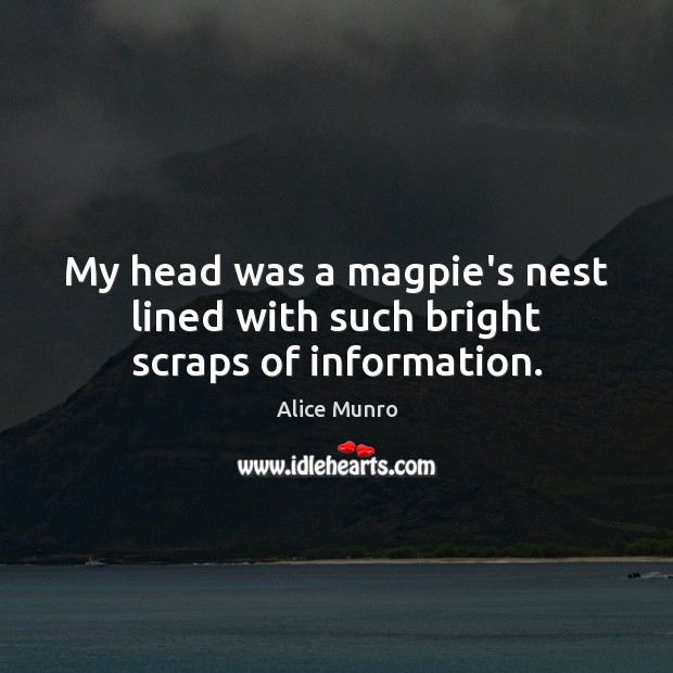 My head was a magpie’s nest lined with such bright scraps of information. Alice Munro Picture Quote