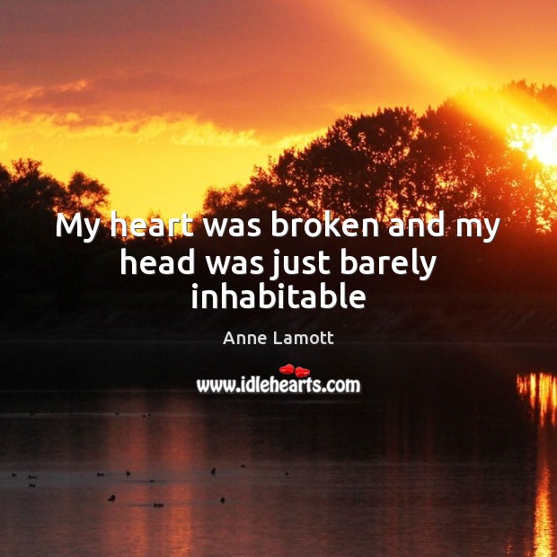 My heart was broken and my head was just barely inhabitable Anne Lamott Picture Quote