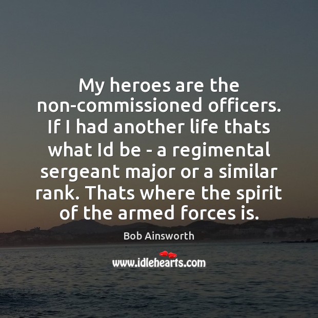 My heroes are the non-commissioned officers. If I had another life thats 
