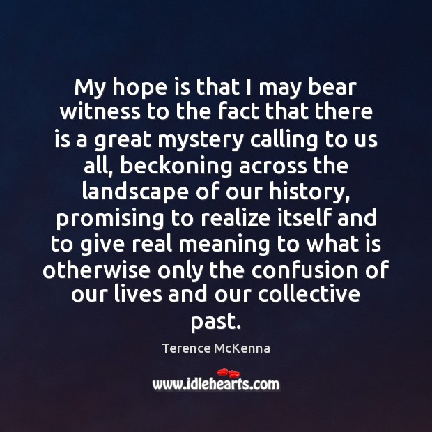 My hope is that I may bear witness to the fact that Terence McKenna Picture Quote