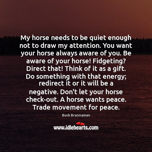 My horse needs to be quiet enough not to draw my attention. Buck Brannaman Picture Quote