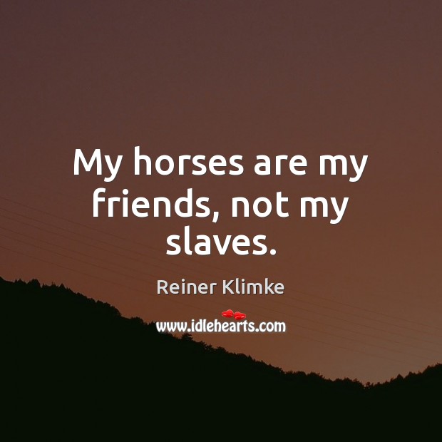 My horses are my friends, not my slaves. Image