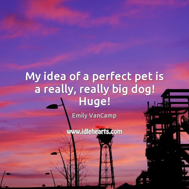 My idea of a perfect pet is a really, really big dog! Huge! Emily VanCamp Picture Quote