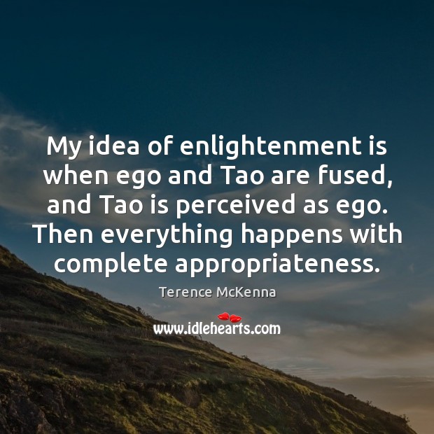 My idea of enlightenment is when ego and Tao are fused, and Terence McKenna Picture Quote