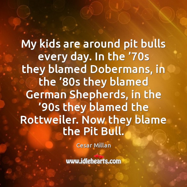 My kids are around pit bulls every day. In the ’70s they Cesar Millan Picture Quote